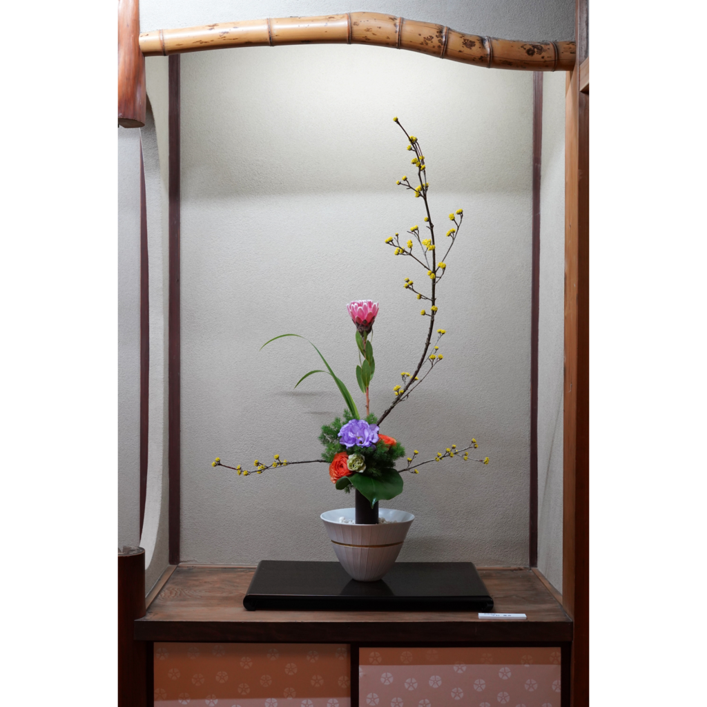B02-OZR07217-1-1024x1024.png