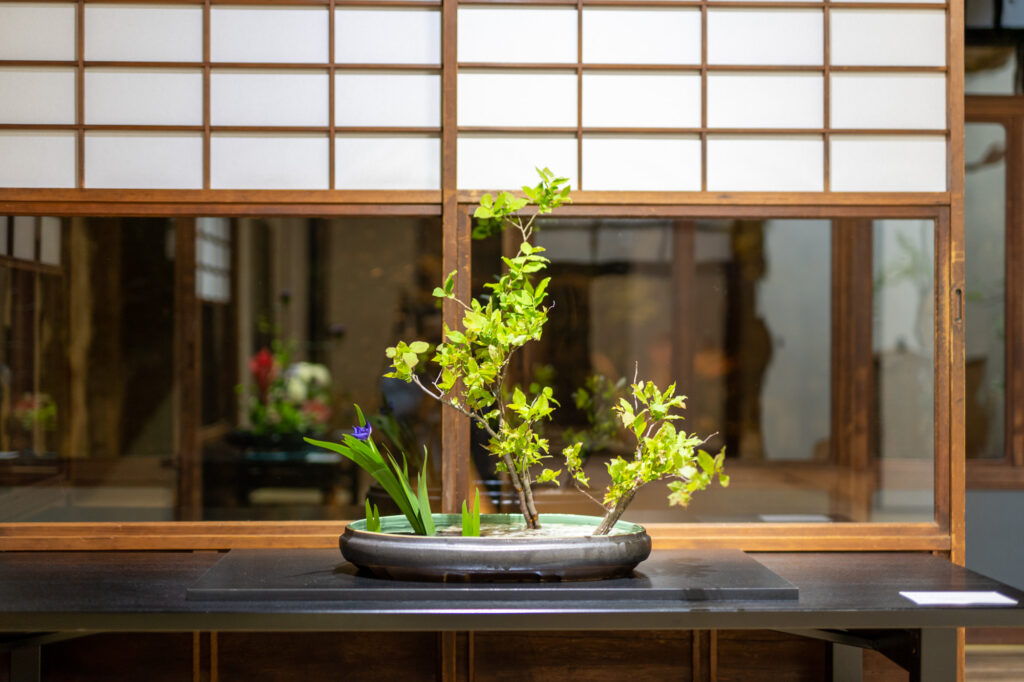 02A11-生花 水陸分け | 中西千里甫いけばな教室 | ひらかた京町家